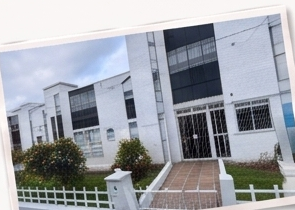 Sede